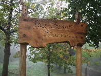 fugio Pirao-20101010 113